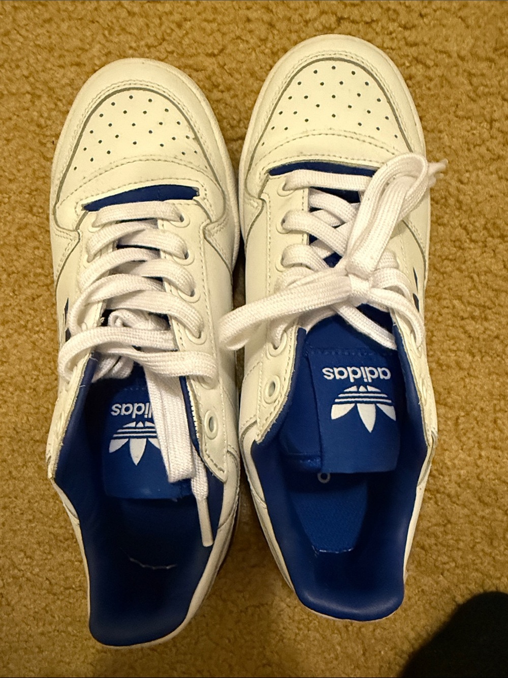 adidas White and Royal Blue Low-Top Sneakers